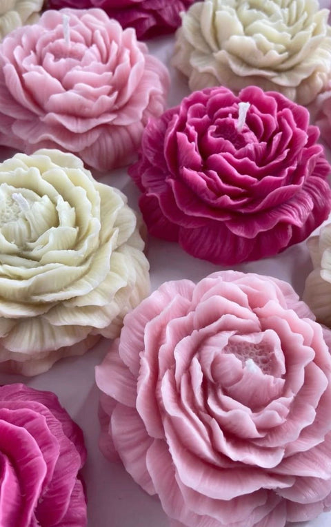 Rosy Radiance